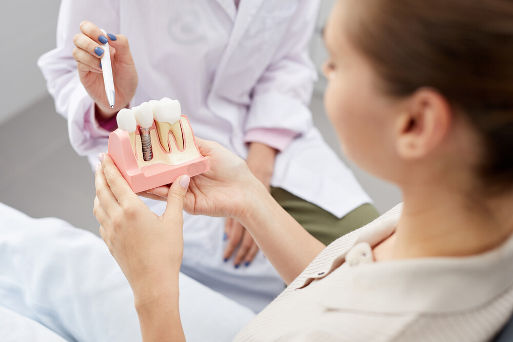 Dentista mostrando la estructura de un diente